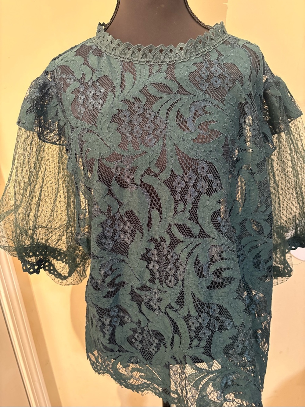 Lace Overlay Puff Sleeve Top-Sheer Teal Green by Peach. #Forestfairy #Regency